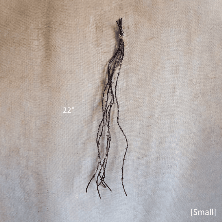 Ikebana Twig Branch (Shipping fees may apply)