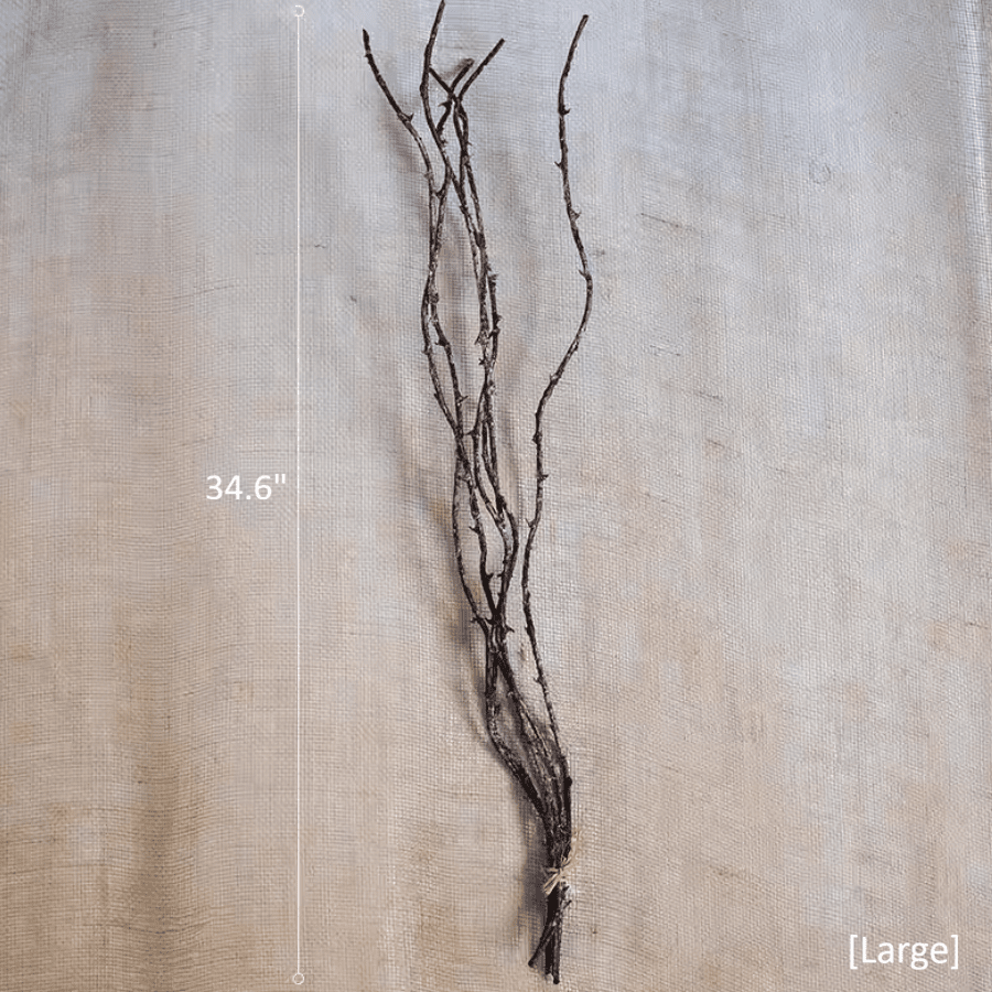 Ikebana Twig Branch (Shipping fees may apply)