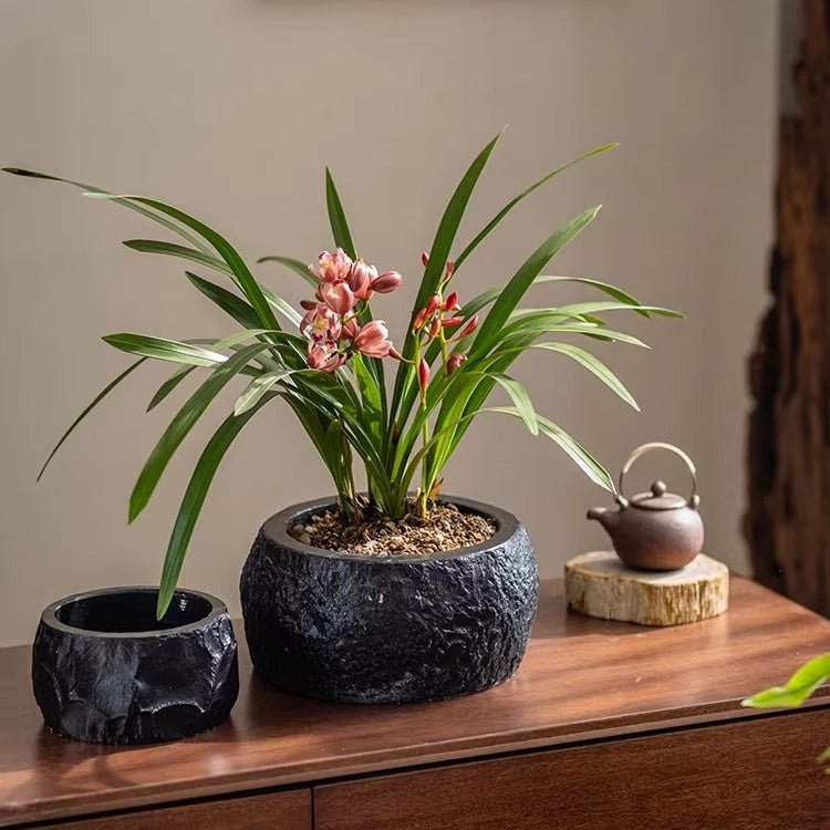 Mesa Cement Pot Planter (Shipping fees may apply)