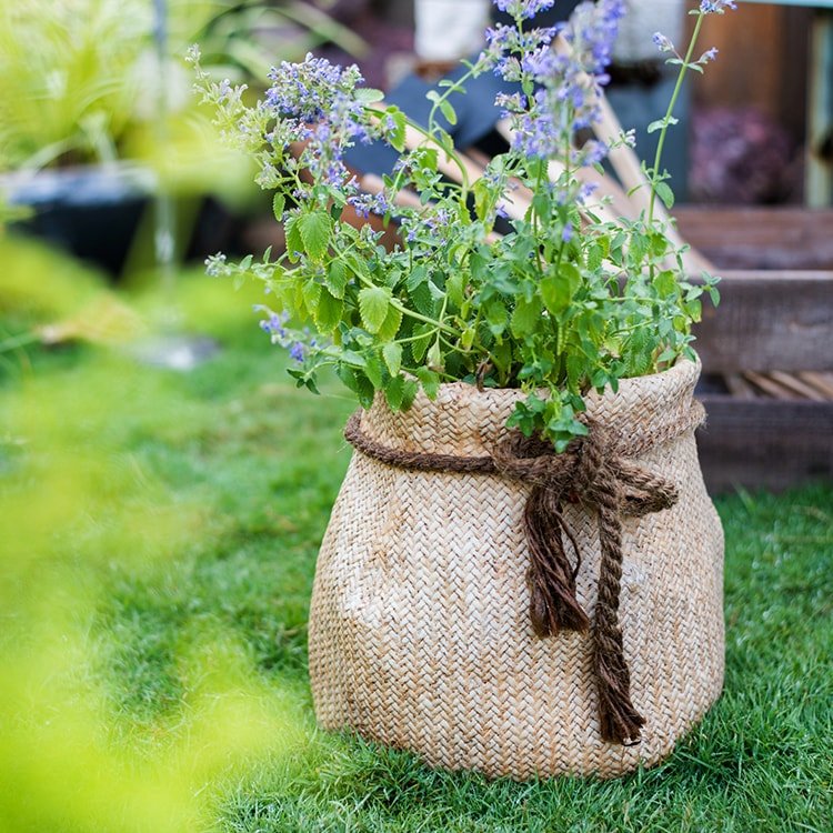 Ribbon Bag Style Concrete Garden Pot (Shipping fees may apply)