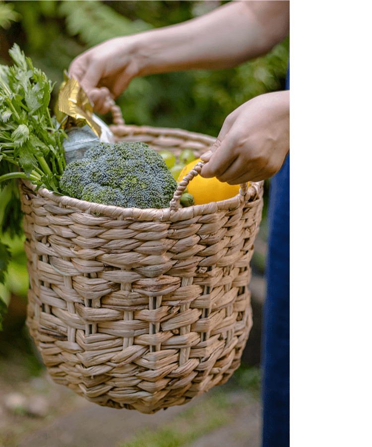 Natural Straw Round Basket with Handles (Shipping fees may apply)
