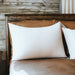 Dada Bedding Luxury 20x28 Pillow Insert - Soft Medium Firm, Premium Polyester, Perfect for Side and Back Sleepers - DaDa Bedding Collection