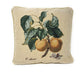 DaDa Bedding Set of 2-Pieces Yellow Apricot Fruits Elegant Tapestry Throw Pillow Covers w/ Inserts - 18" x 18" - DaDa Bedding Collection
